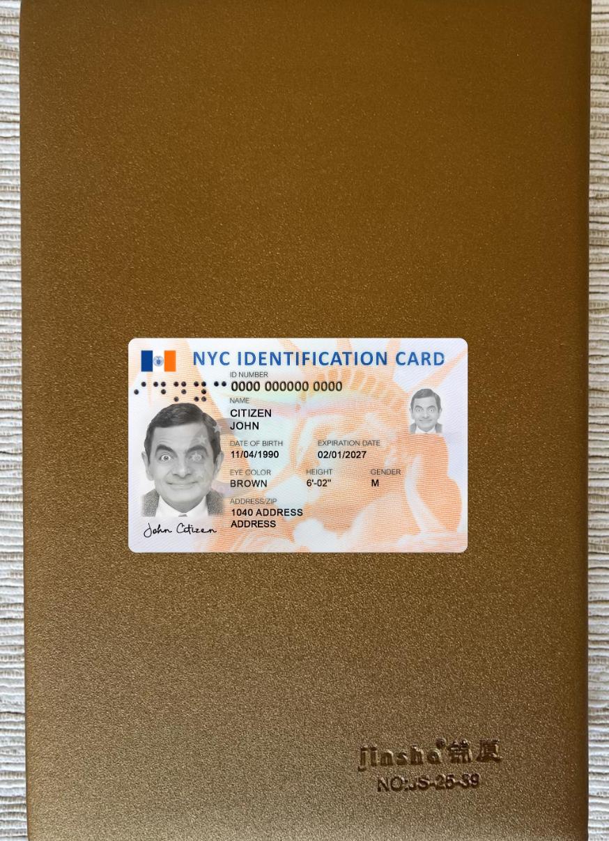 Downloadable USA New York new ID card photolook sample
